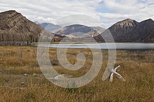 Dry landscape at the Andes near Potrerillos.