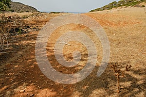 Dry Landscape Countryside