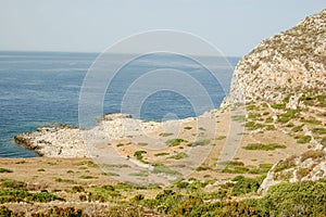 Dry Landscape Countryside , digital photo image