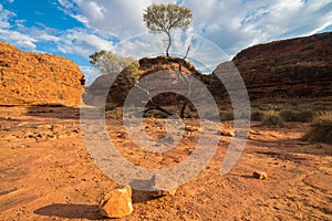 Dry landscape in Kings canyon of the Northern Territory state, the red centre of Australia outback area.