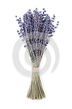 Dry lavender bouquet isolated on white background.