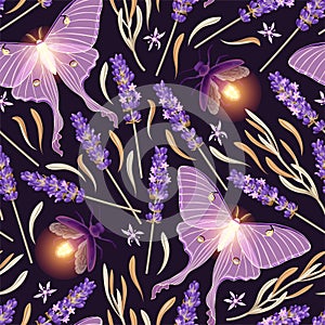 Dry lavender and moon moth vector seamless pattern