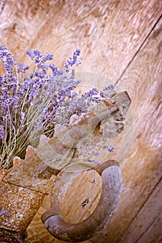 Dry lavender and rustic iron (old iron)