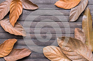 Dry leaf frame on wooden background. Autumn seasonal banner template backdrop.