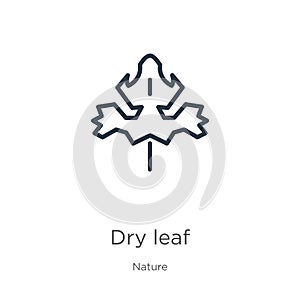 Dry leaf icon. Thin linear dry leaf outline icon isolated on white background from nature collection. Line vector sign, symbol for