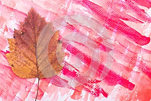 Dry leaf on watercolor background