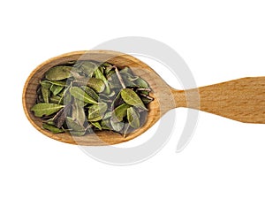 Dry leaves of Arctostaphylos in a wooden spoon on a white background photo