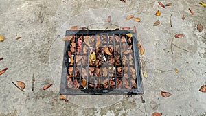 dry leaves covering the sewers