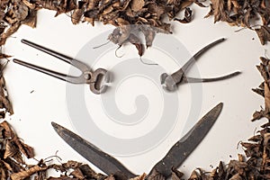 dry leaves forming a drawing of a pumpkin, gardening tools in the middle forming eyes and a mouth, autumn , halloween. photo