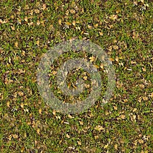 Dry Leaves on Green Grass. Seamless Texture.