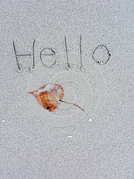 Dry leaves and handwritten `Hellow `on sand beach