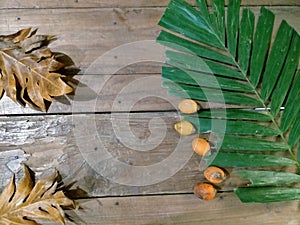 Dry leaves of jackfruit, palm tree leaf and fruit of palm on wood background