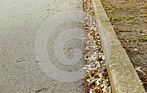 Dry leaves in a road gutter