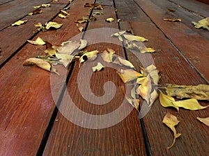 Dry leaves on the wooden floor