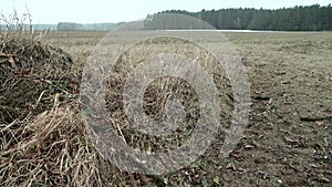 A dry, lifeless agricultural field after winter. The dry grass is swaying in the wind. Climate change.