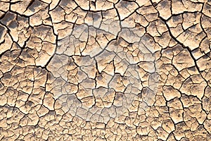 Dry lifeless cracked soil texture