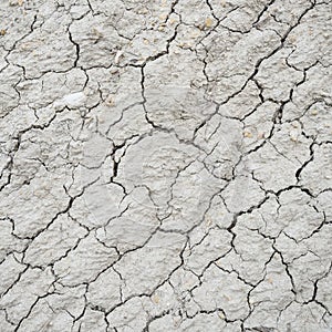 Dry lifeless land texture