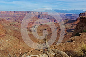 Dry log, abyss, road and mountains, Canyonlands Nationalpark