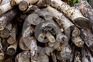 Dry logpile and wood