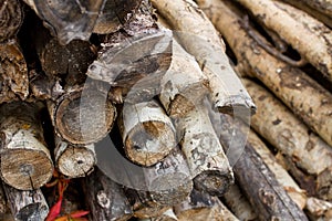 Dry logpile and wood