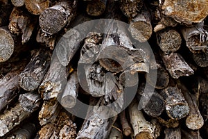 Dry logpile and wood