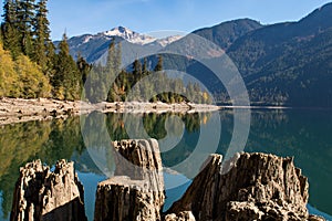 Dry logs and tree stumps on the dry shore of Baker Lake in North Cascades