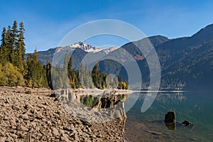 Dry logs and tree stumps on the dry shore of Baker Lake in North Cascades