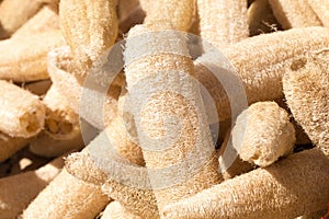 Dry Luffa Cylindrica