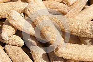 Dry Luffa Cylindrica