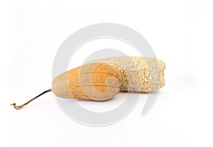 Dry luffa fruit and sponge on white background, environment friendly product from natural