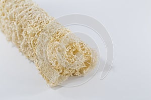 Dry Luffa, luffa sponge