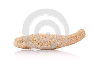 Dry Luffa, luffa sponge. Studio shot isolated on white
