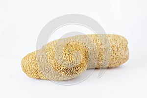 Dry luffa, luffa sponge on white background