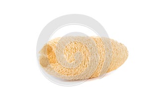 Dry Luffa, luffa sponge on white background, isolated on white b