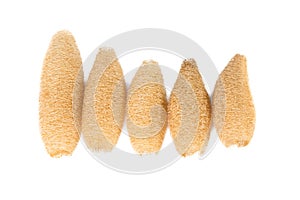 Dry Luffa, luffa sponge on white background, isolated on white b