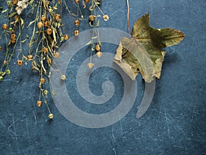 Dry Maple leaf and dry plants on a dark countertop.