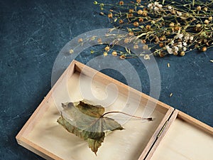 Dry Maple leaf in a wooden box and dry plants stacked on a dark countertop