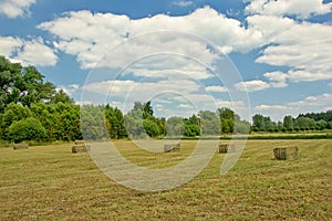 Dry mawn meadow with hay bales in Bourgoyen nature reserve