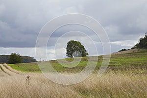 dry meadow with countryside hills in the background