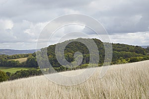 dry meadow with countryside hills in the background