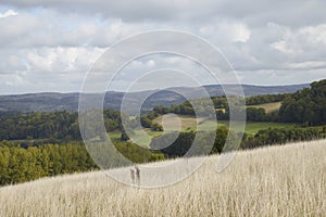 dry meadow with countryside hills in the background