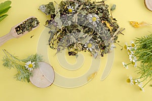 Dry medicinal herbs for alternative medicine and tea on yellow background, flat lay