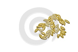 Dry melon seeds on a white background.