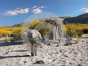 Dry Mono Lake California