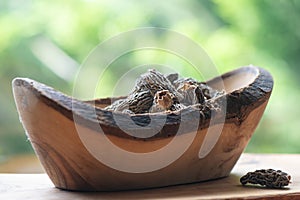 Dry Morel Mushrooms on Wooden Platter. Close-up of textured morel mushrooms, artfully arranged on a rustic wooden platter,