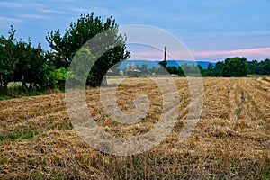 Dry Mown Hay in Farm Field, Serbia