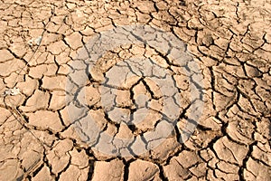 Dry Mud photo