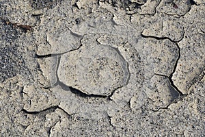 Dry mud background and texture
