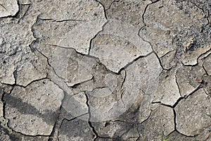 Dry mud background and texture