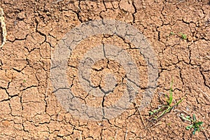 Dry mud cracked ground texture. Drought season background. Dry and cracked land, dry due to lack of rain. Effects of